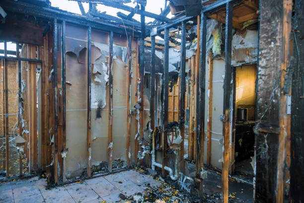 Professional Fire Damage Removal technician working in Leland, MS
